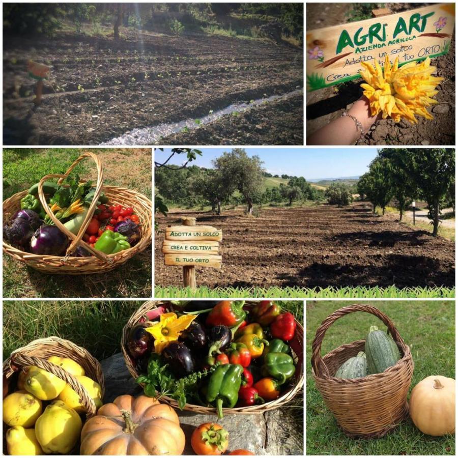 Agri Art Villa San Benedetto Ullano Exterior photo
